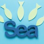 Comparatif des Meilleures Assurances pour Propriétaires à Saint-Raphaël