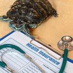 Devoirs des Assurés à Saint-raphaël