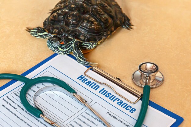 Devoirs des Assurés à Saint-raphaël